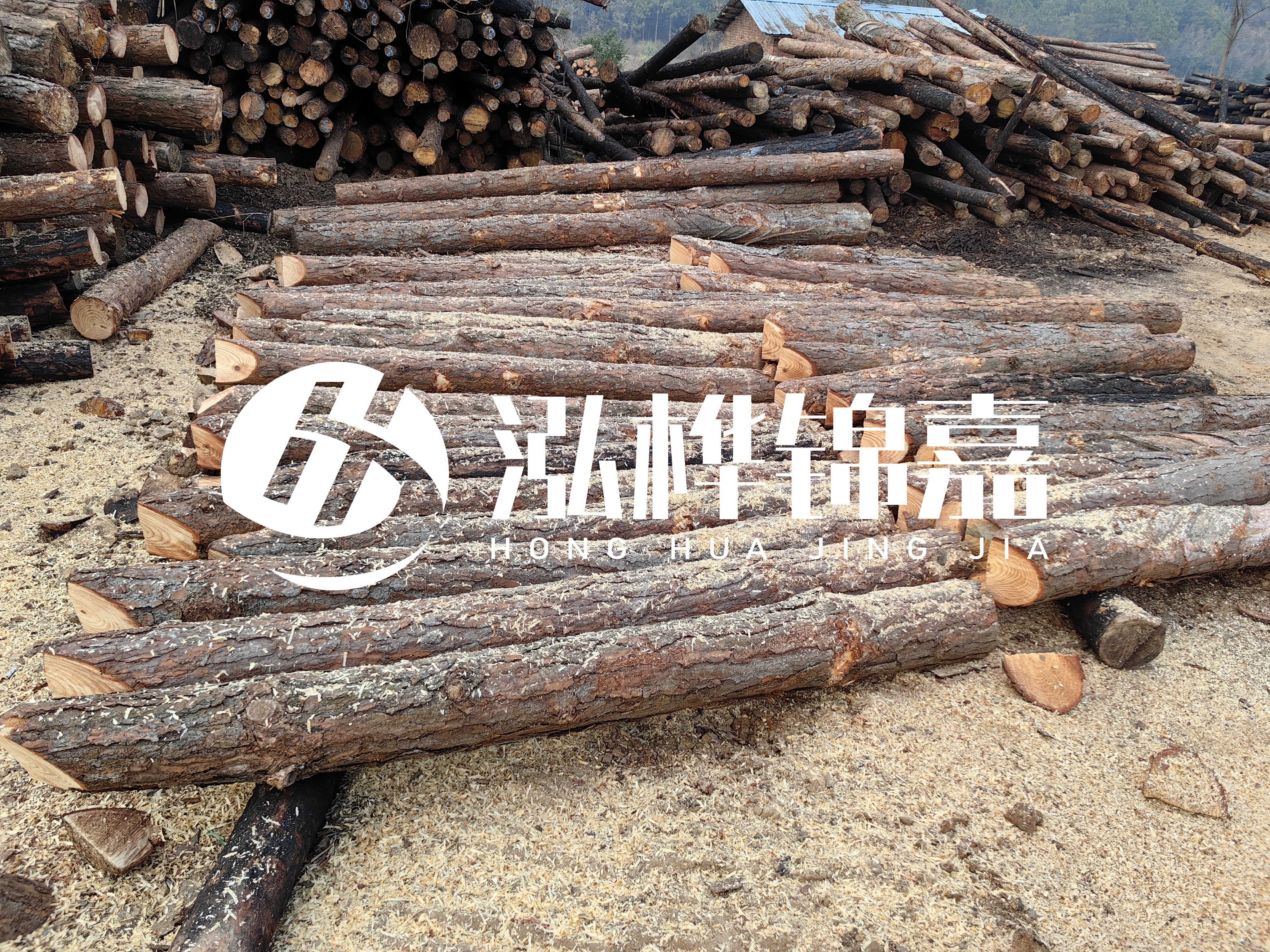 河道打樁木重復(fù)利用嗎？