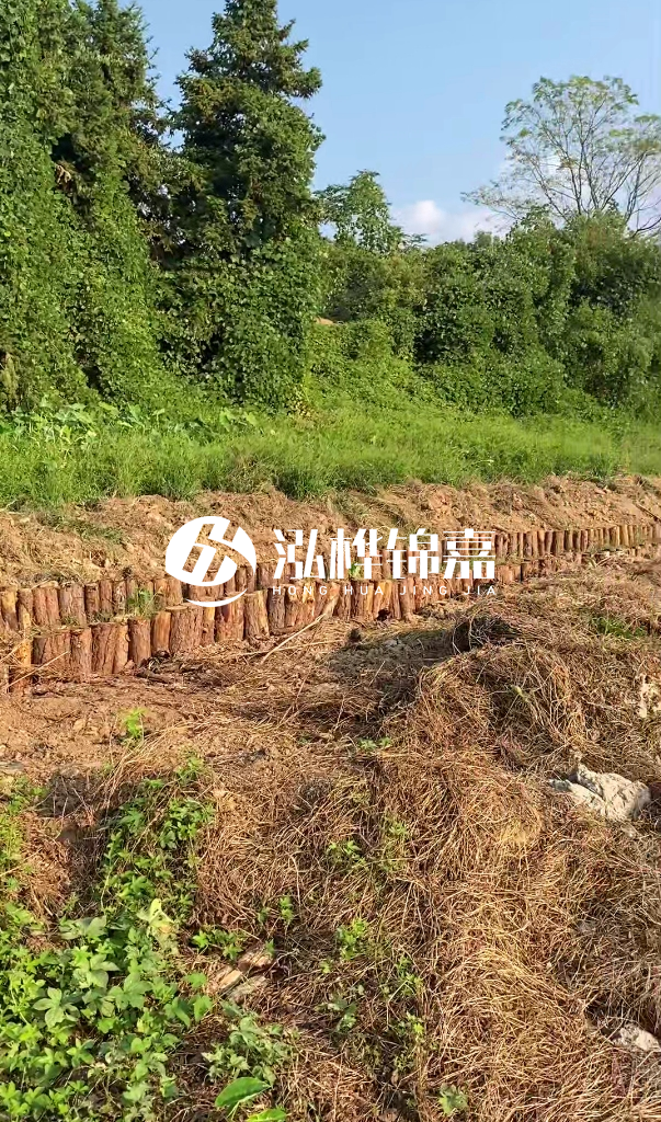 許昌河道清淤專(zhuān)業(yè)施工-河道污水治理要多長(zhǎng)時(shí)間？