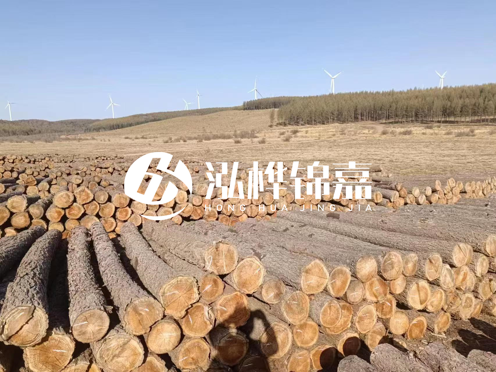 咸寧松木樁源頭廠家-哪里能買(mǎi)到質(zhì)量好的松木樁打樁木？