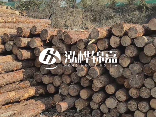 落葉松木材的主要產(chǎn)地在哪里？為什么比其他松木更耐腐蝕？