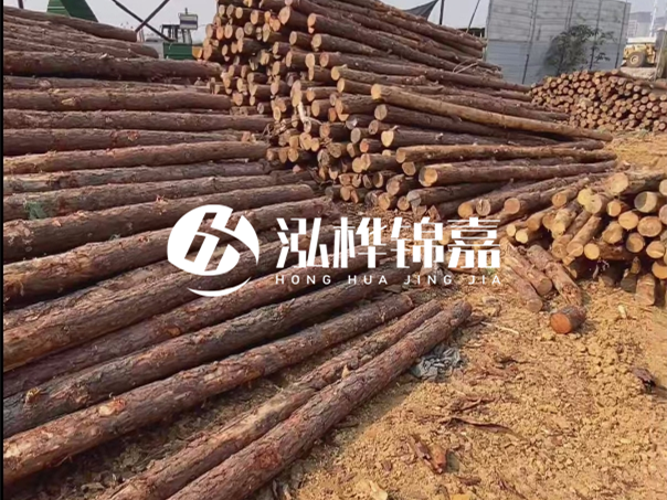 河道木樁施工遇到淤泥怎么辦？打多深才能防沖刷？