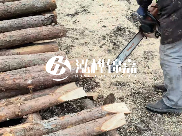 杉木樁批發(fā)廠家哪家好？產(chǎn)地直供渠道推薦！