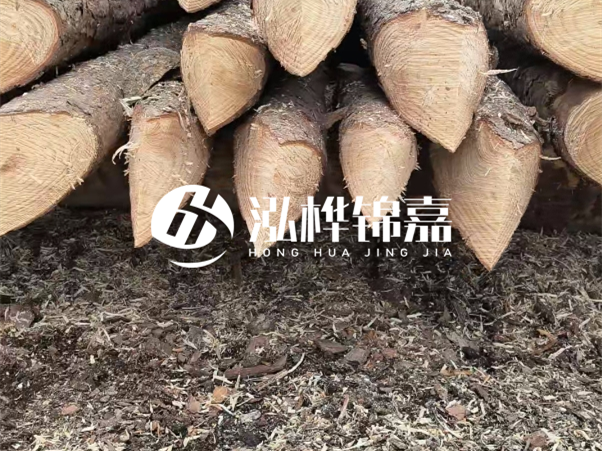 打樁木樁與鋼樁相比有哪些優(yōu)缺點(diǎn)？如何進(jìn)行后期維護(hù)？