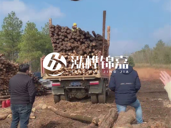 松木樁價(jià)格是按米算還是按根算？6米松木樁批發(fā)價(jià)每根多少錢？