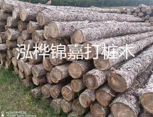 高效修補，保駕護航！水泥路面高強度修補料為您解決煩惱！