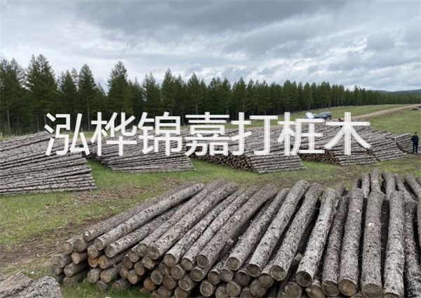 鋼結構施工方案大全免費提供，助力工程建設