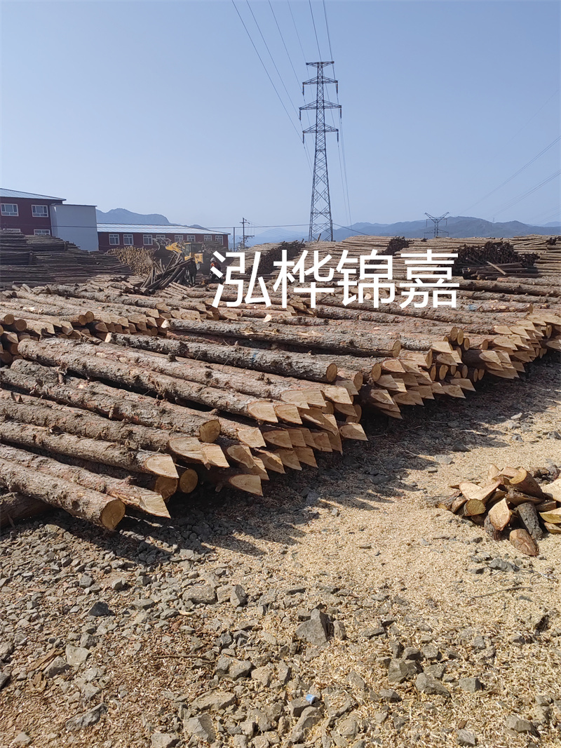 打造環(huán)保耐用的樹脂瓦四坡屋頂，追求高品質(zhì)居住體驗